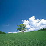 不動産登記・相続手続