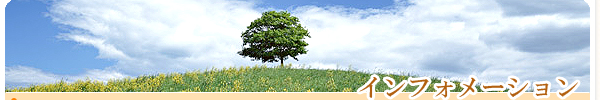 インフォメーション 事務所概要・アクセス